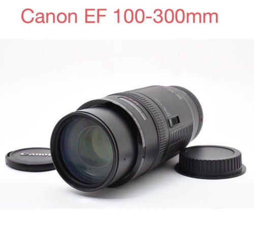 Articolo canon 100 300 - articolo:, ef