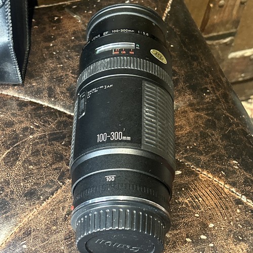Canon 100 300mm 6 - f5.6, zoom