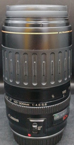 Teleobiettivo canon 100 300 - ef, 100-300